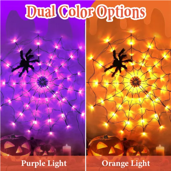 Lighted Hairy Spider Web