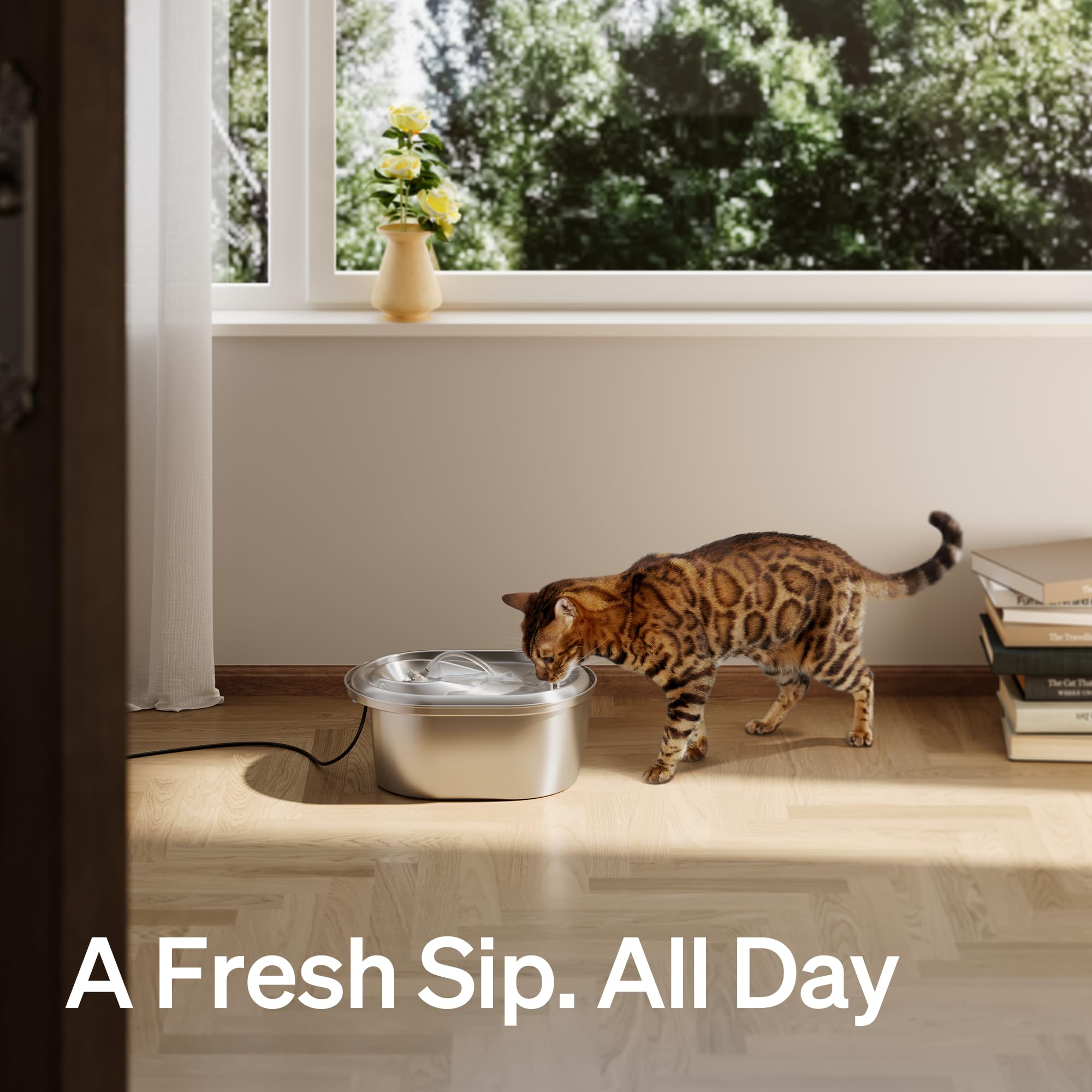 Stainless Steel Cat Water Fountain