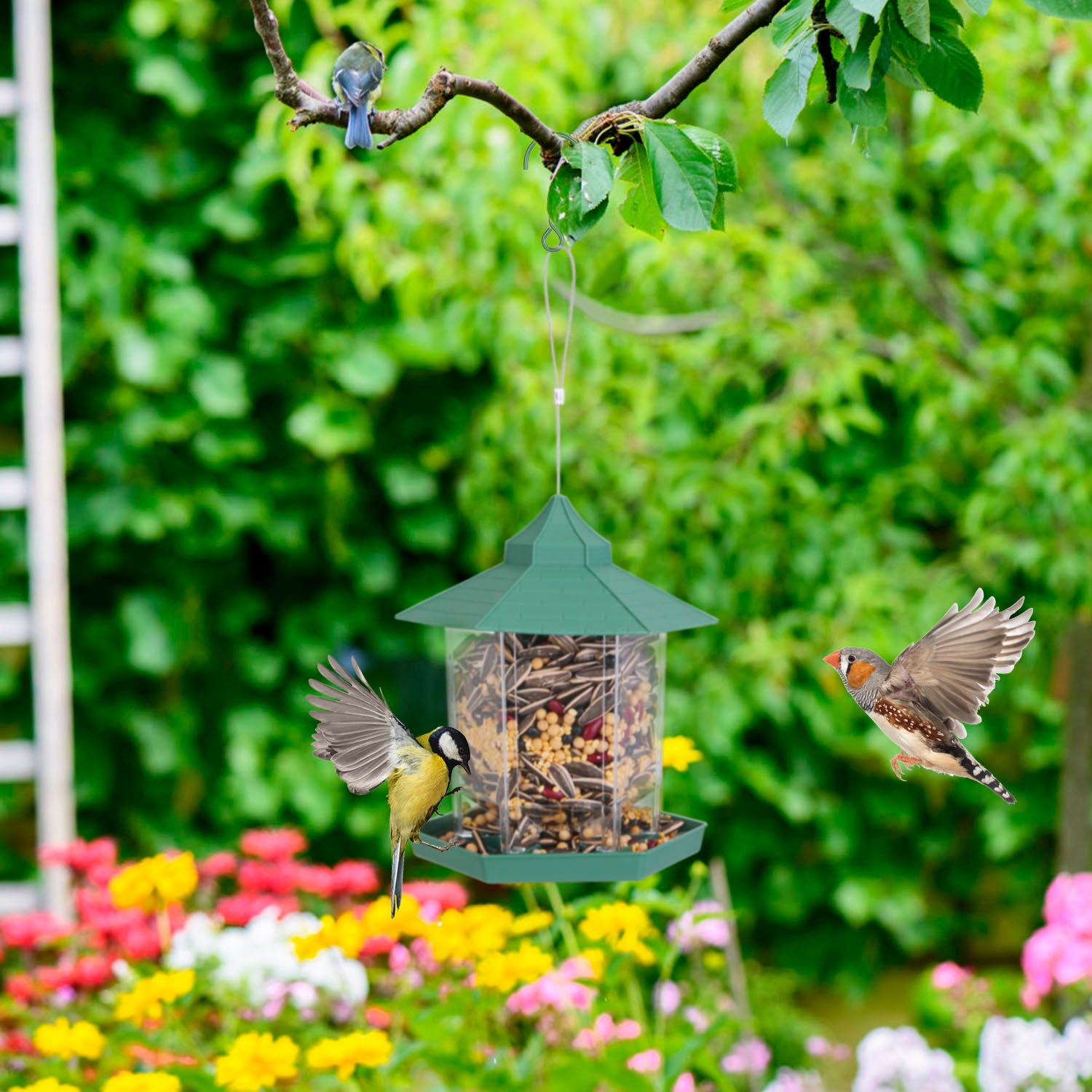 Hanging Gazebo Bird Feeder